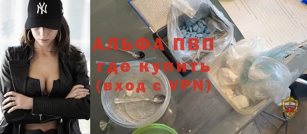 СК Гусев