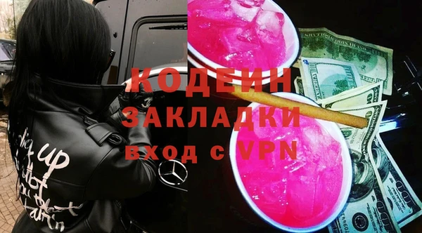 хмурый Гусь-Хрустальный