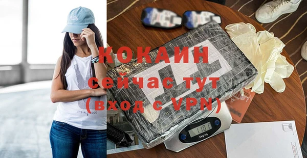 хмурый Гусь-Хрустальный