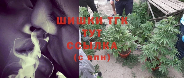 трава Горнозаводск