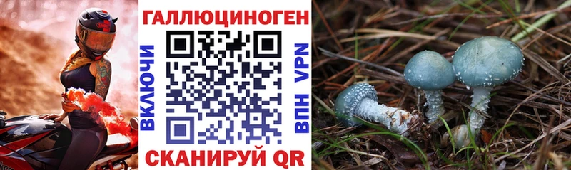 Псилоцибиновые грибы MAGIC MUSHROOMS  omg   Далматово 