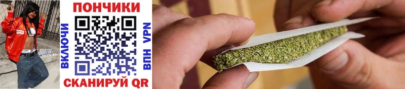 где продают Далматово Марихуана SATIVA & INDICA